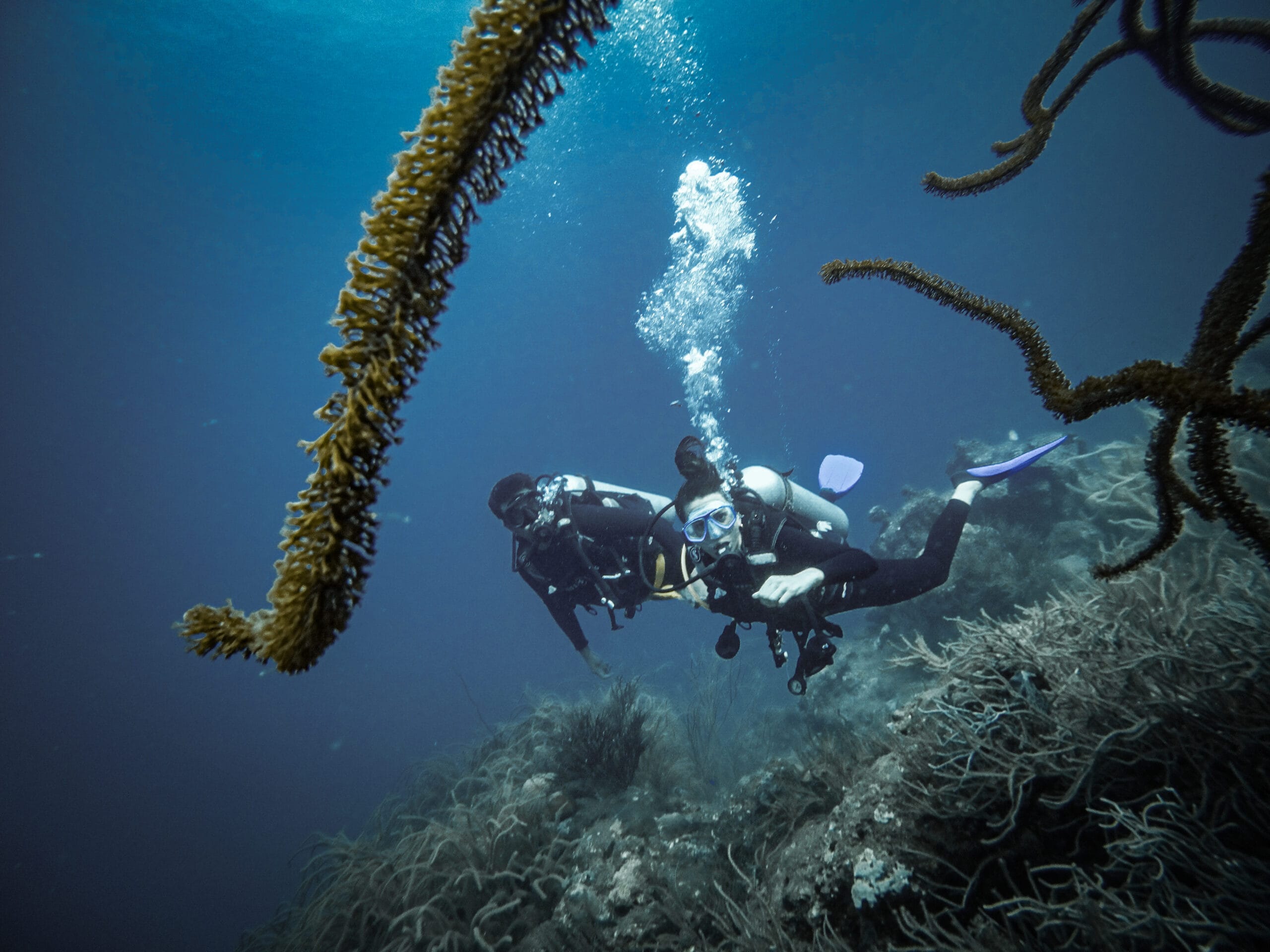 couple scuba diving coral reef