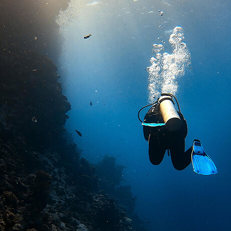 discovery diving taganga