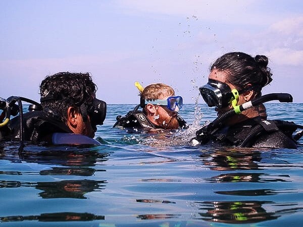 dive schools taganga groups