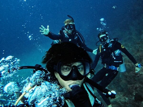 pair of divers reef diving uai