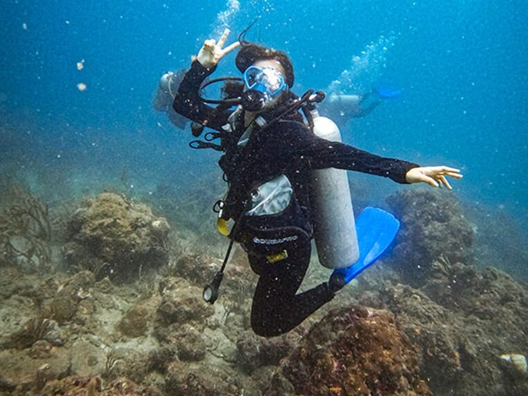 discovery diving taganga
