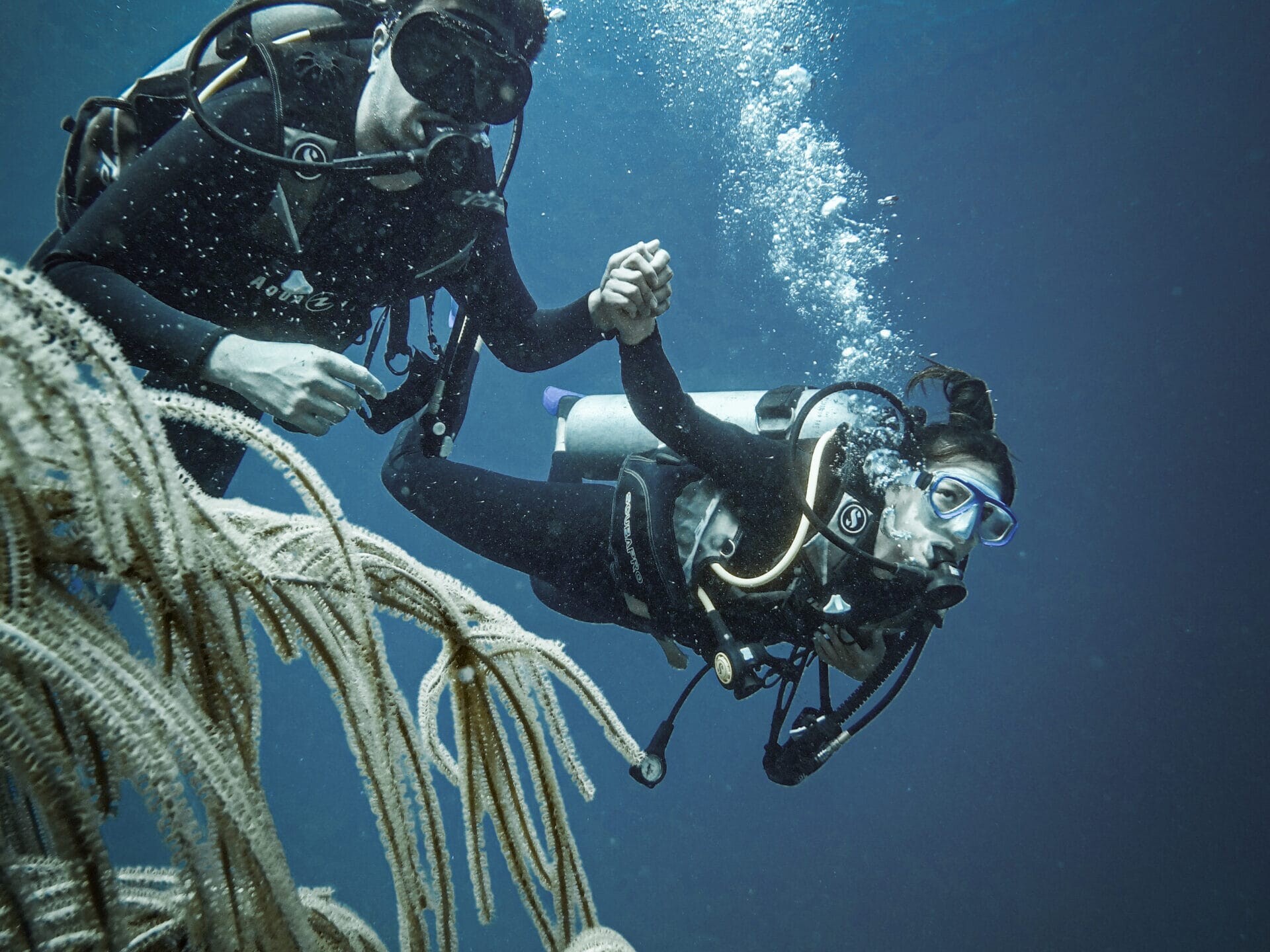 scuba diving couple holding hands uai