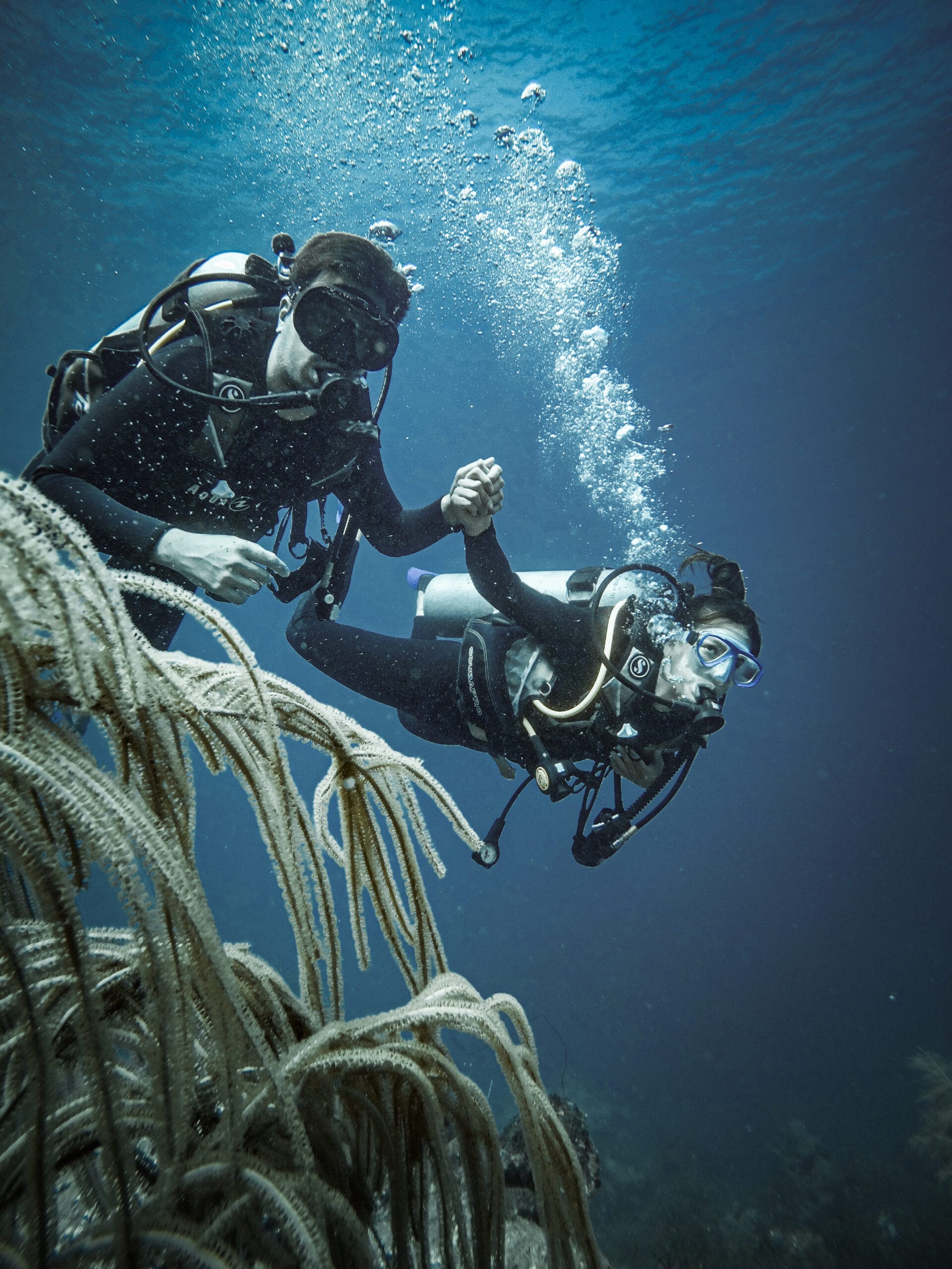 scuba diving couple holding hands