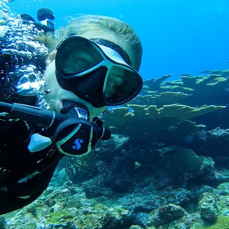 scuba diving near reef uai