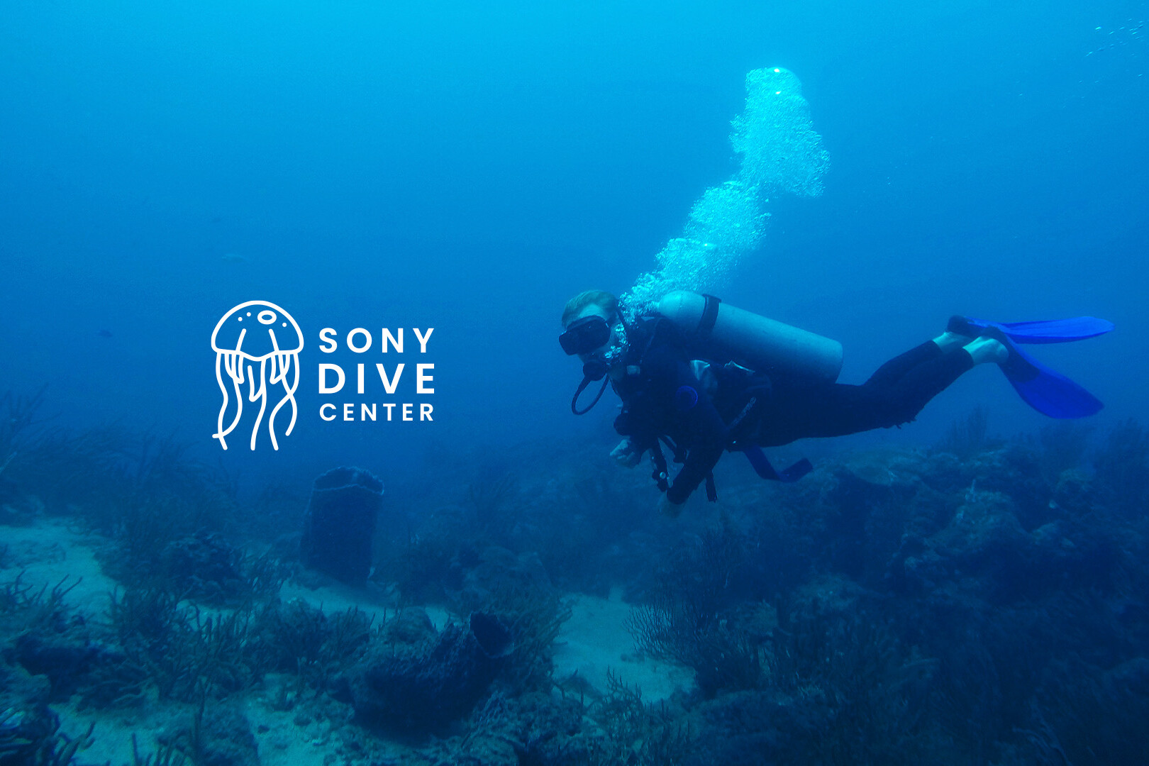 sony dive center colombia