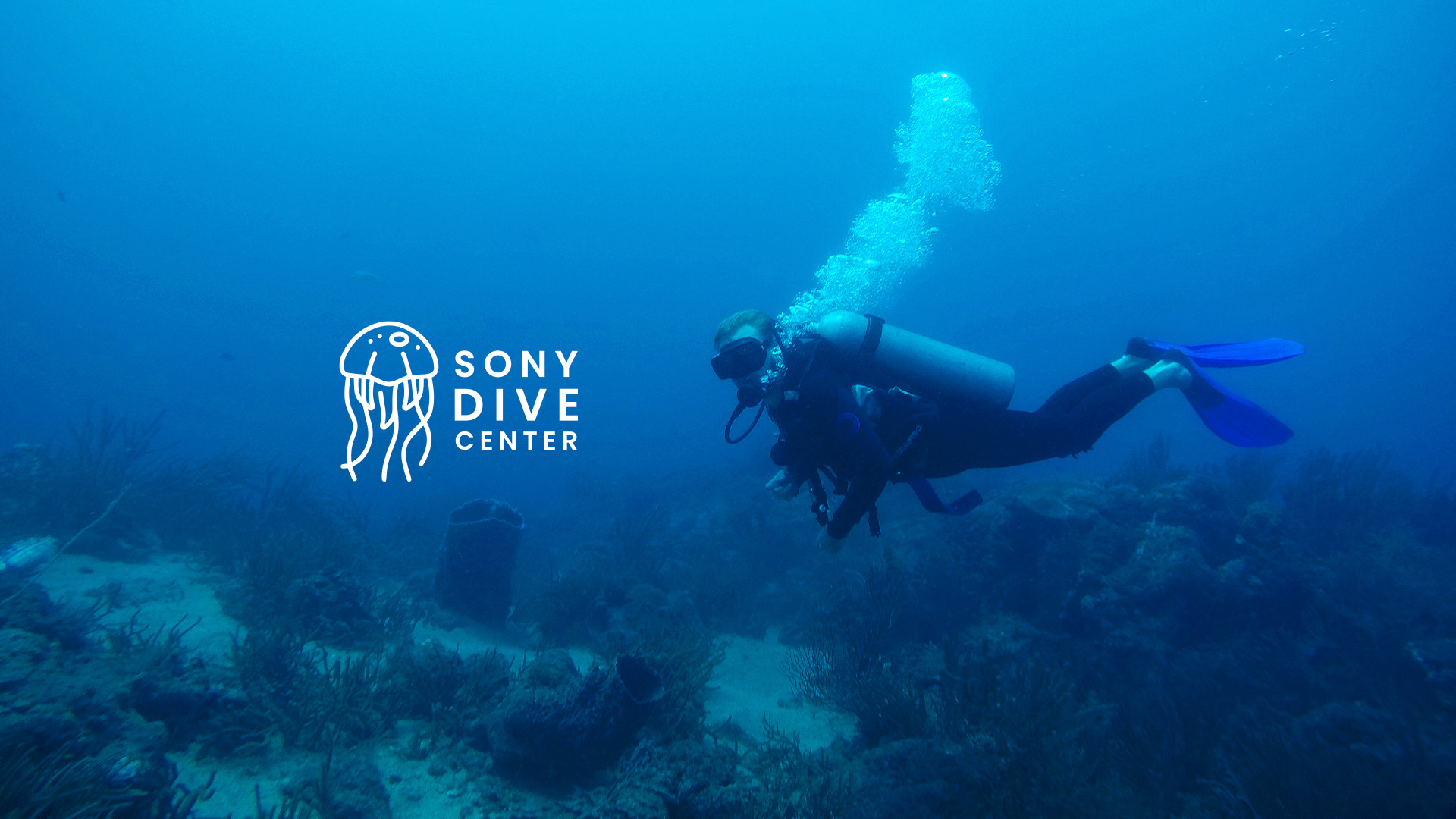 sony dive center colombia