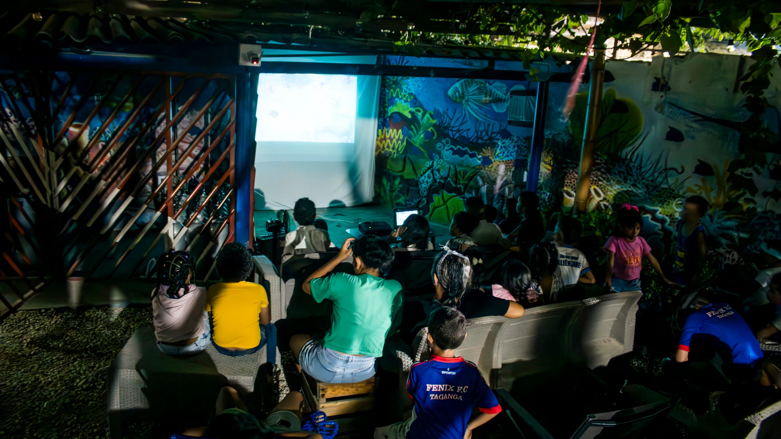 underwater cinema night