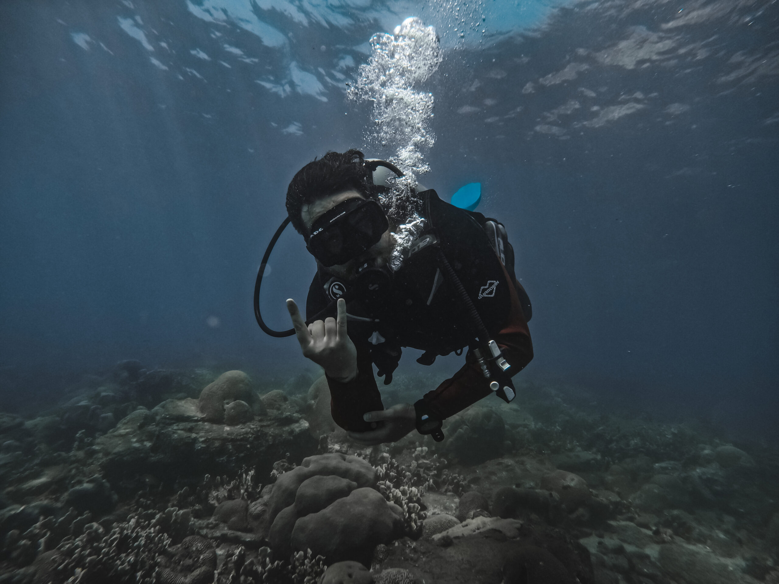 Fun Dive in Santa Marta for Certified Divers 1 Certified diver during a fun dive in Santa Marta exploring coral reefs in Taganga