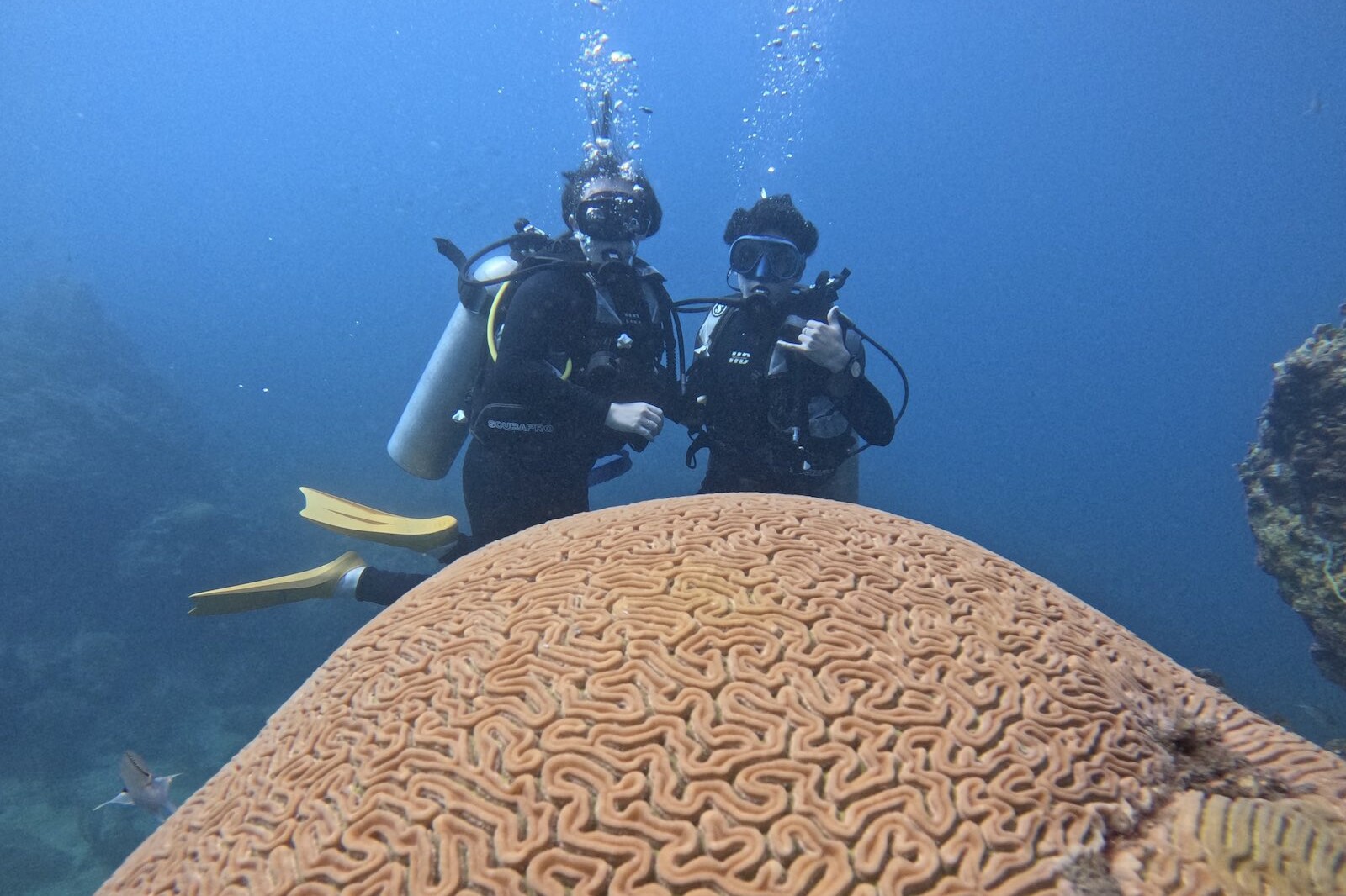 Coral formation and divers in Santa Marta Caribbean