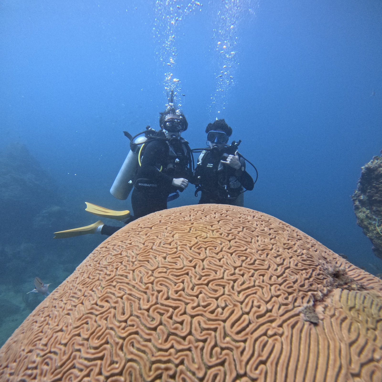 Coral formation and divers in Santa Marta Caribbean