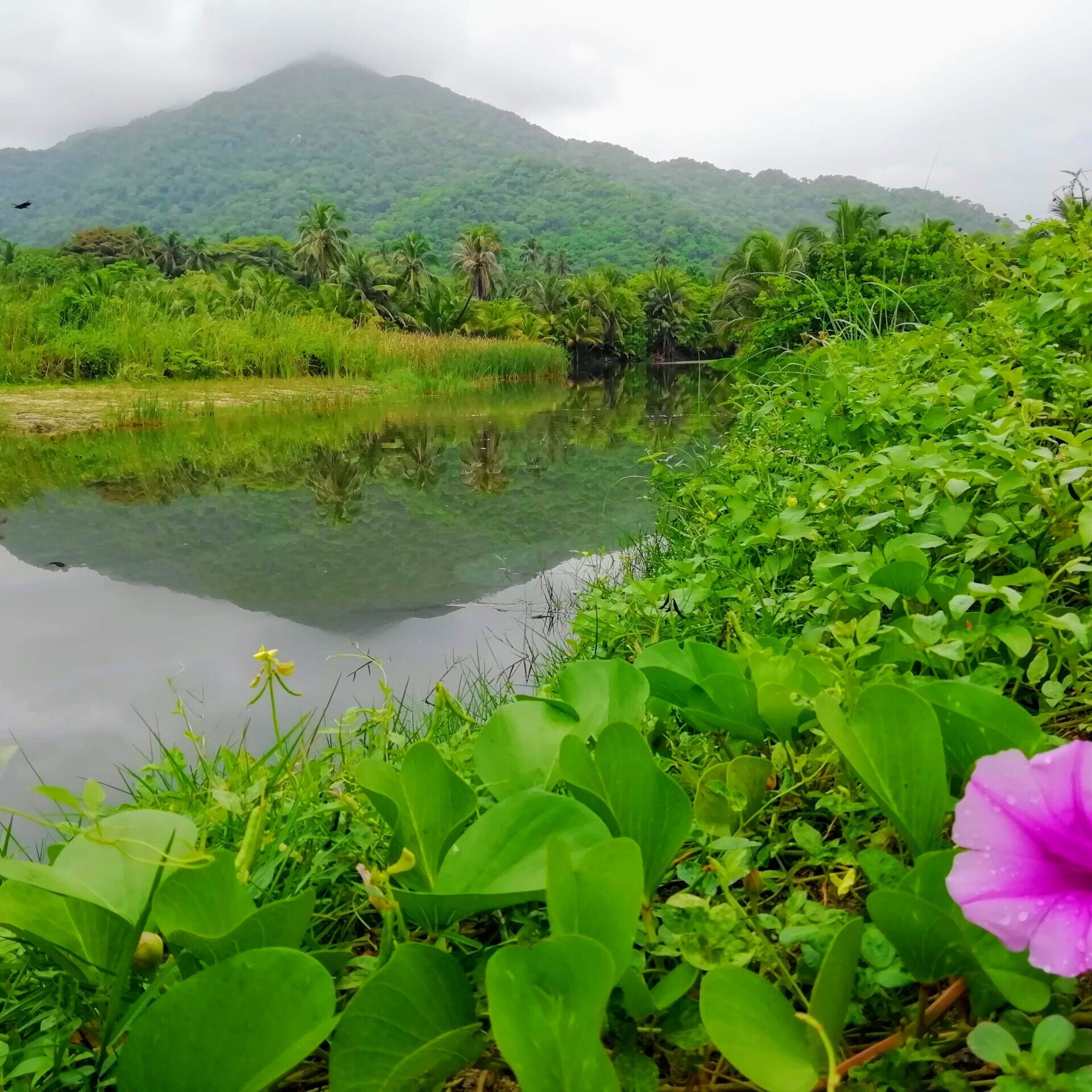 cabo san juan tayrona hike iguanas tours scaled uai