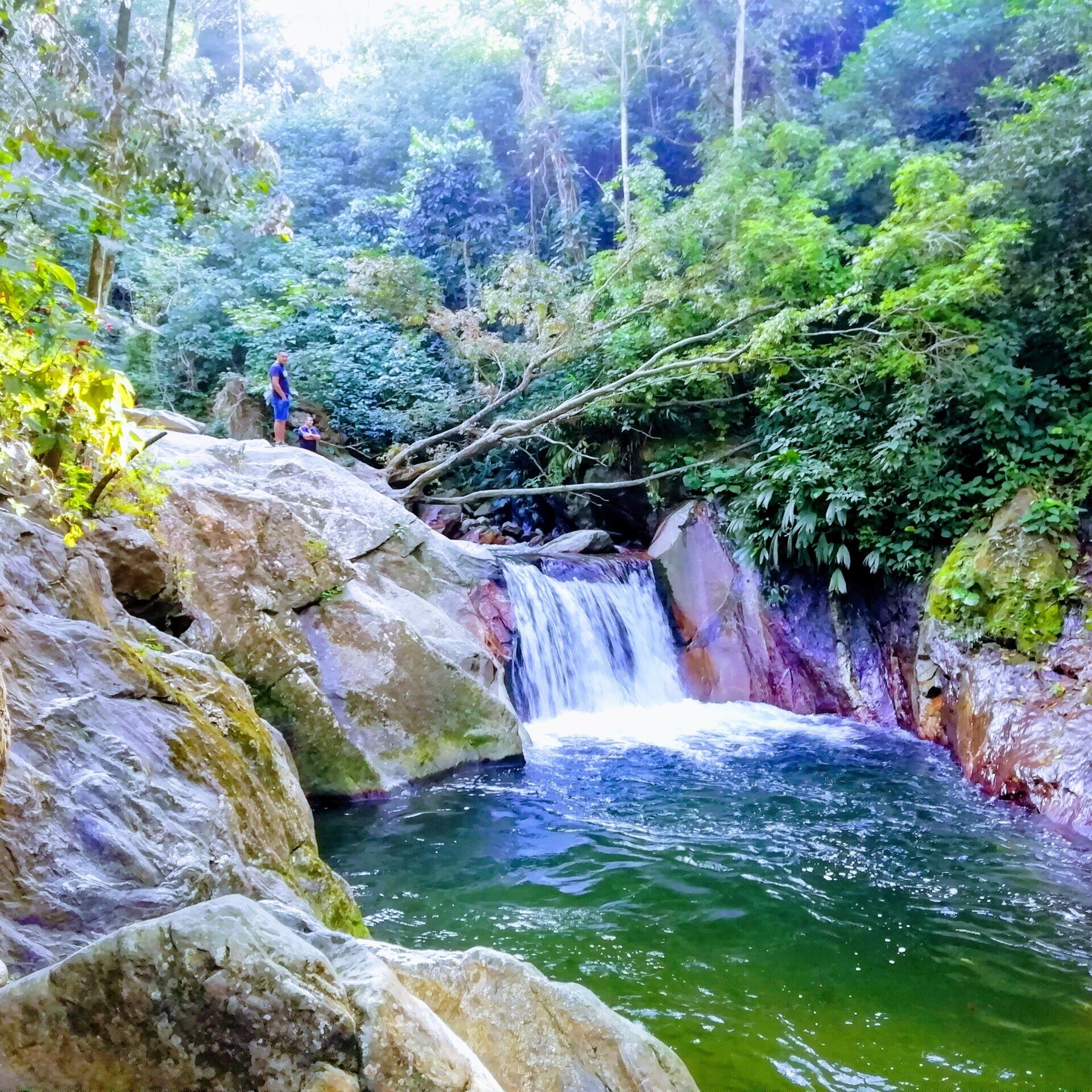 minca pozo azul iguanas tours scaled uai