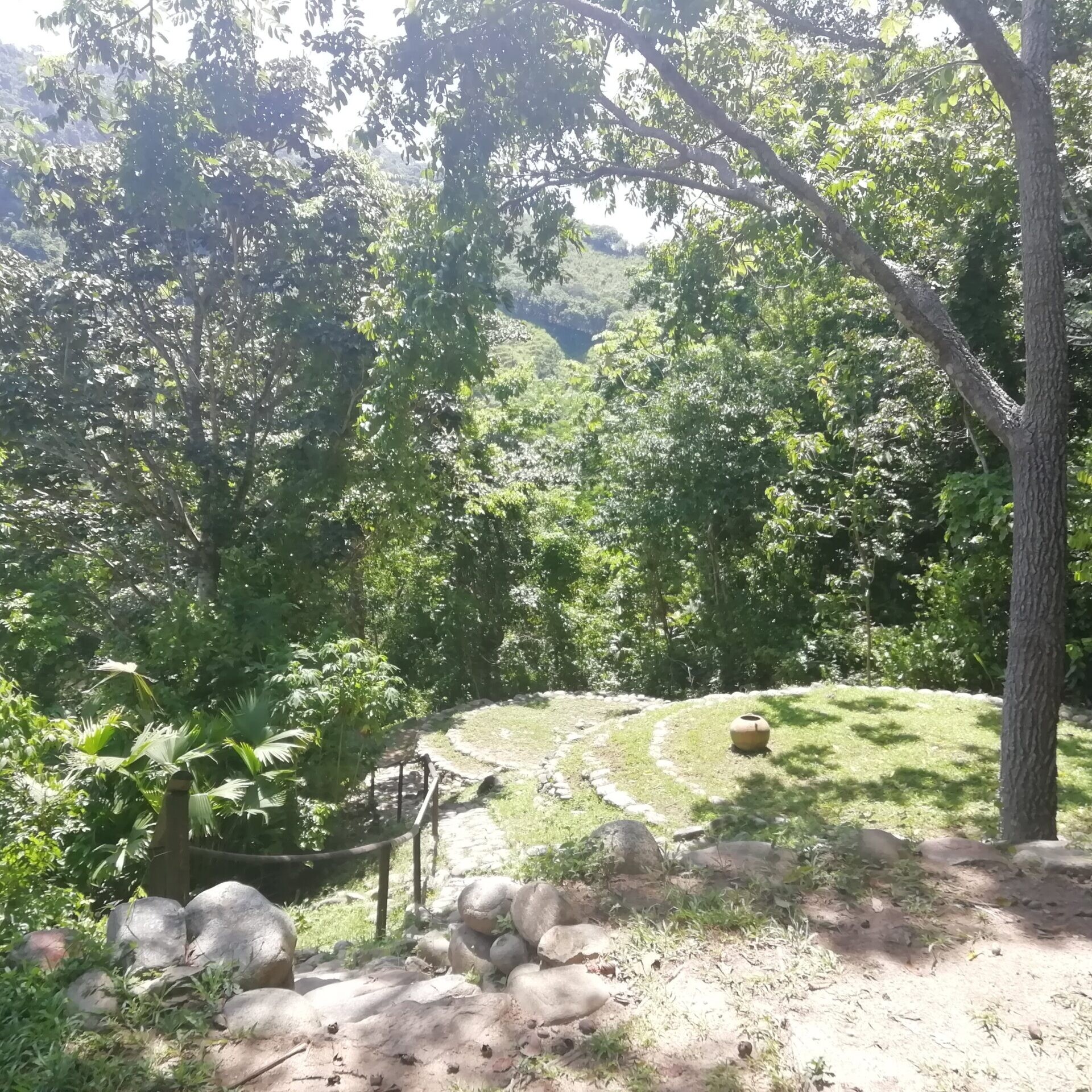 taironaka indigenousarcheology iguanas tours scaled uai